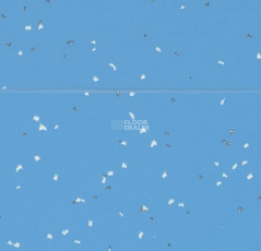 Forbo Sphera Evolution 50430 aqua фото 2 | FLOORDEALER